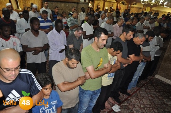 trawe7 mahmodiya 713 (26).JPG